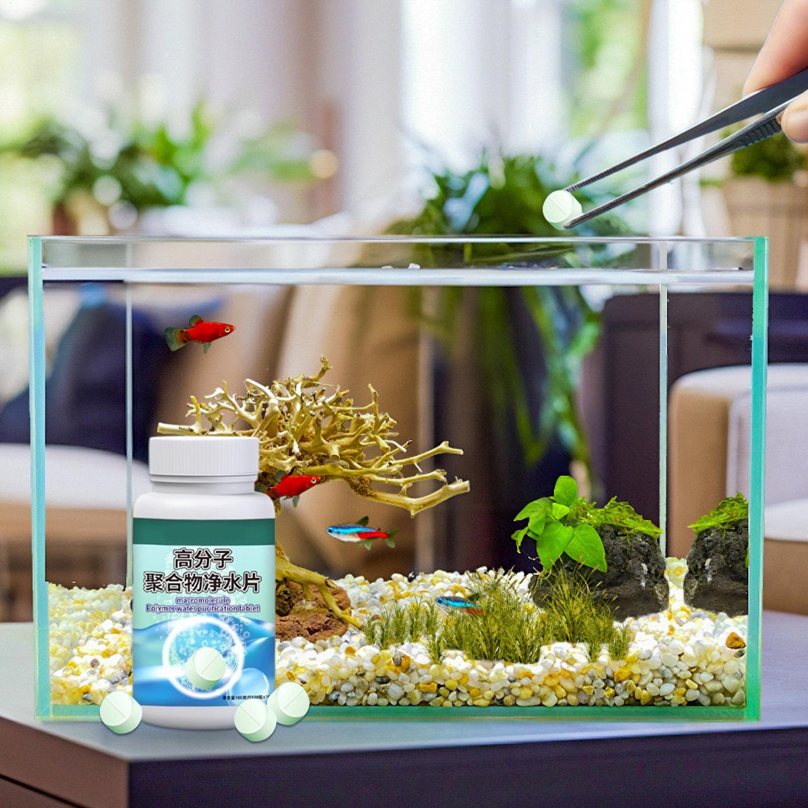 Fish Can Algae Remover Aquariu - Betta Fish Tank ulasan dan harga