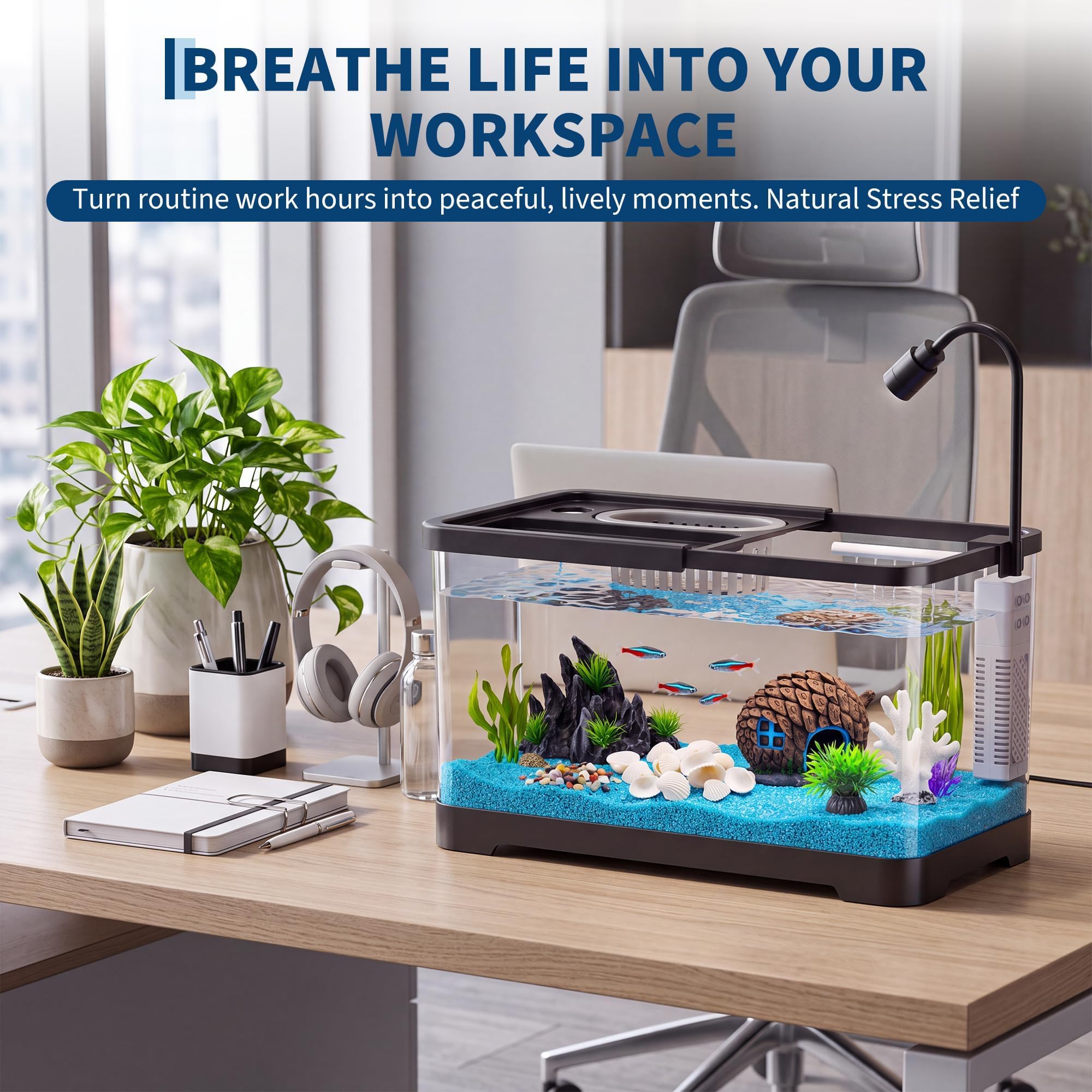 Fish Tank Starter Kit With Fil - Betta Fish Tank ulasan dan harga