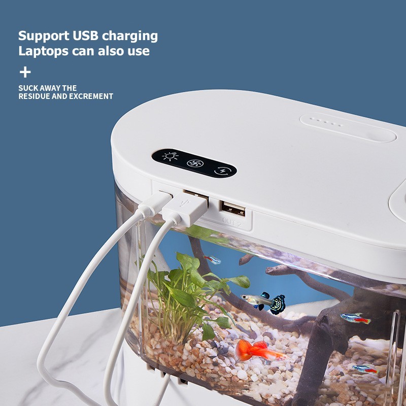 Creative Mini Desktop Fish Tan - Betta Fish Tank ulasan dan harga