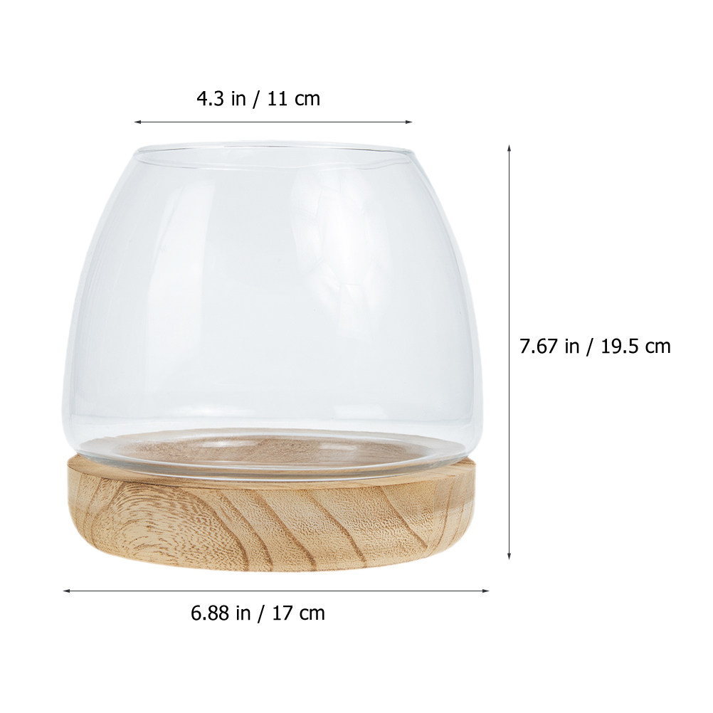 1Set Clear Glass Hydroponic Pl - Aquarium Plants ulasan dan harga