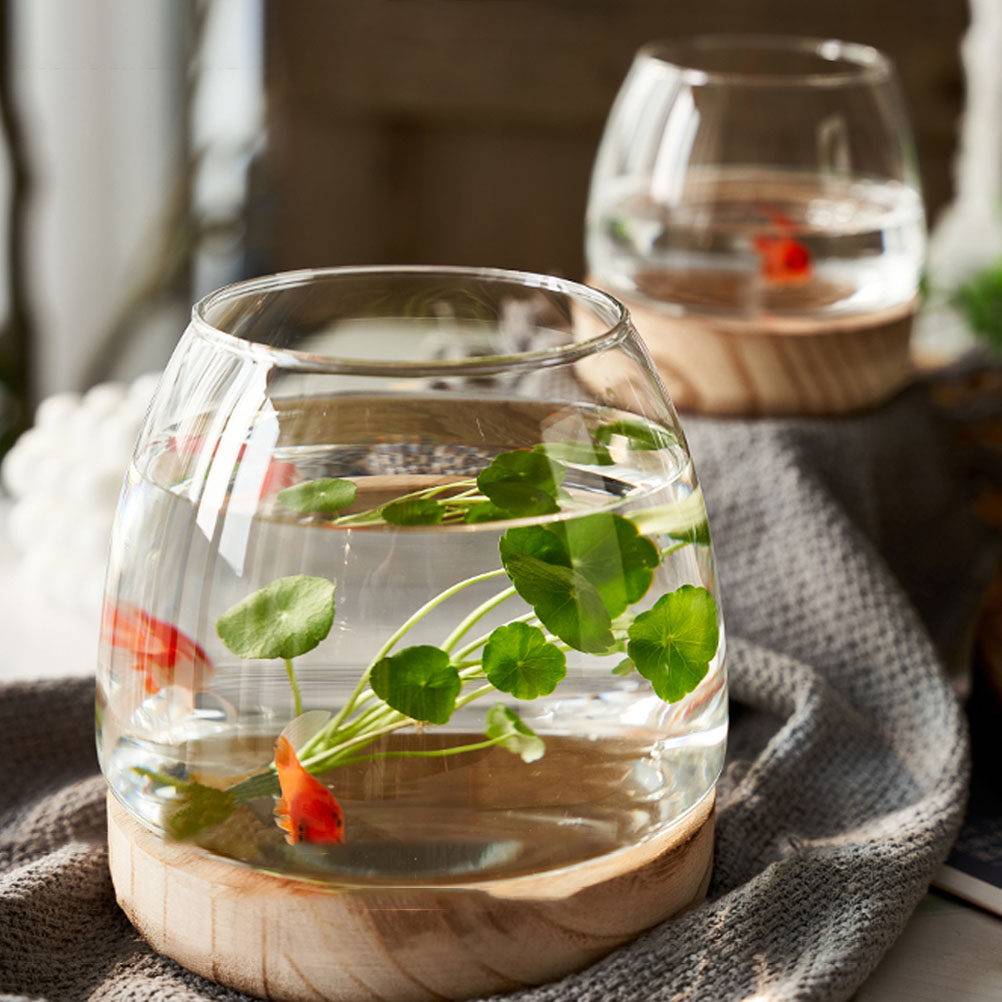 1Set Clear Glass Hydroponic Pl - Aquarium Plants ulasan dan harga